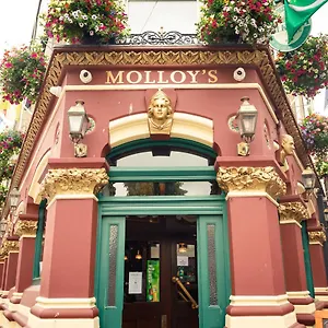  Apartment Molloys Ireland